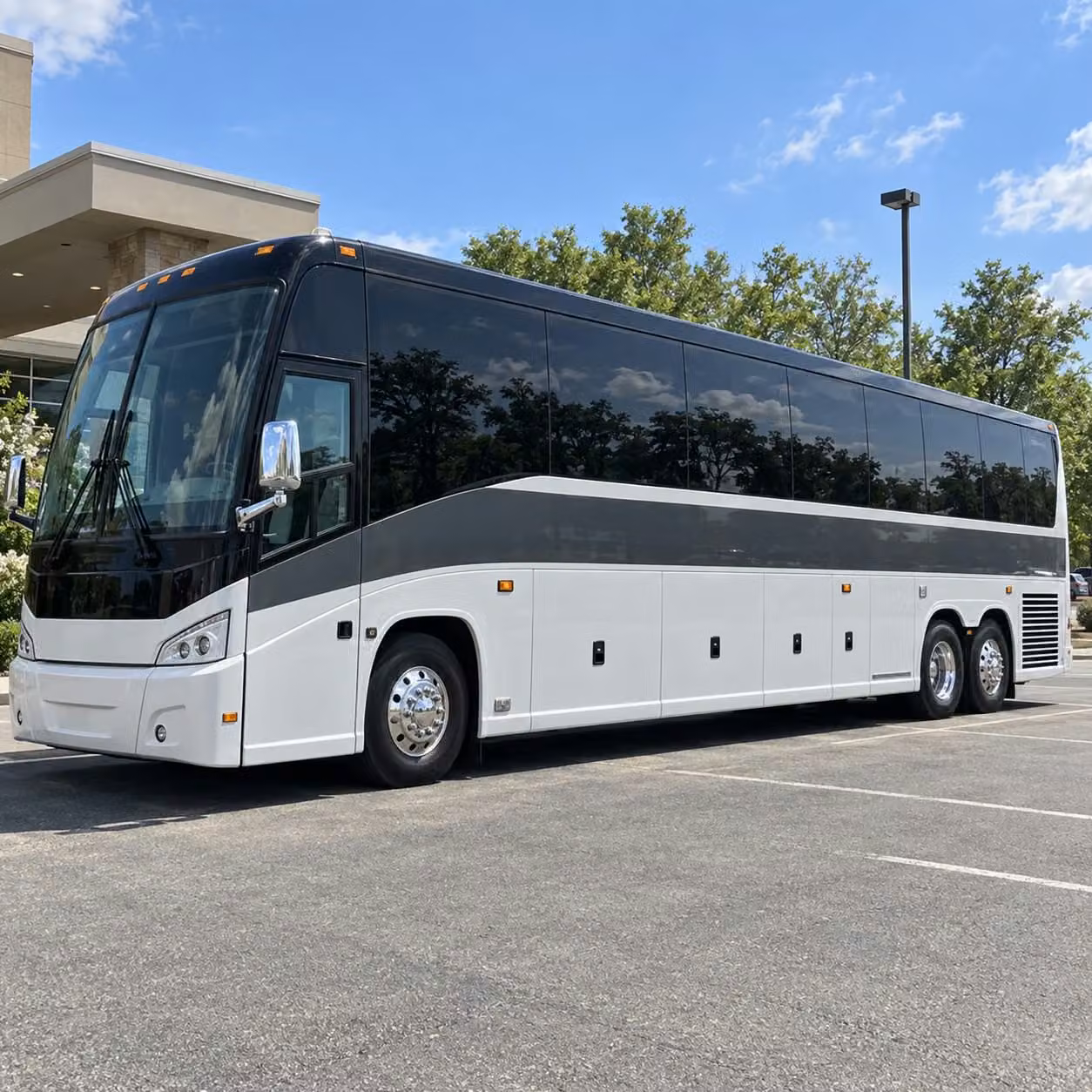 56 passenger charter bus